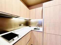 Duo Residences (D7), Apartment #487118701